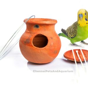 Bird Accessories, Chennai Pets &amp; Aquarium