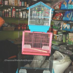Bird Cages, Chennai Pets &amp; Aquarium
