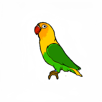 African Lovebirds Icon, Chennai Pets &amp; Aquarium